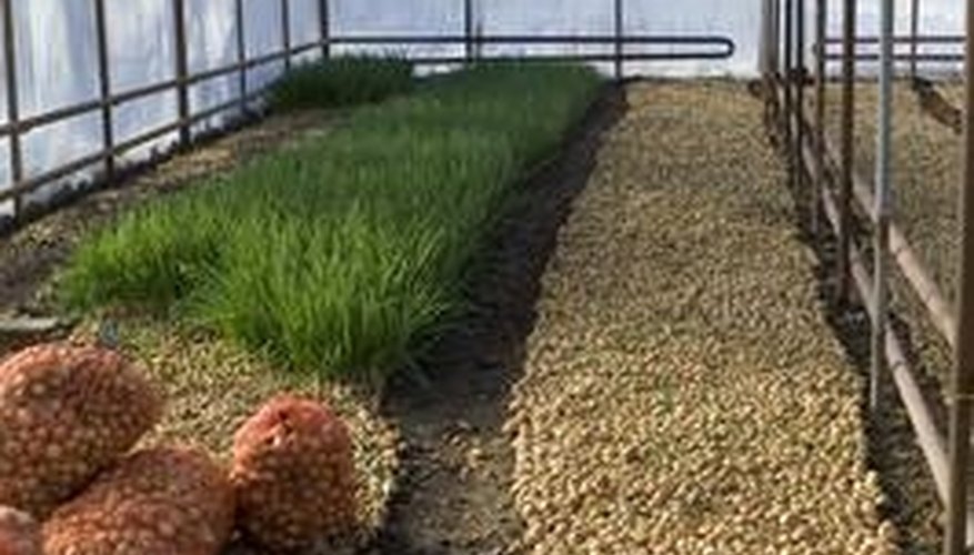 Northern Hemisphere solar greenhouses should angle to the south. Northern Hemisphere solar greenhouses should angle to the south.