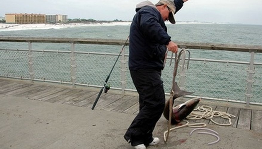 What are the Fines for Fishing Without a License in Florida?
