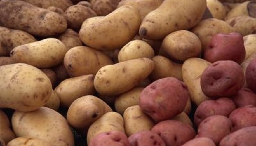 How To Plant Russet Potatoes Garden Guides