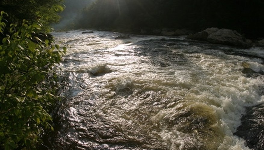 How to Net Fish in a River