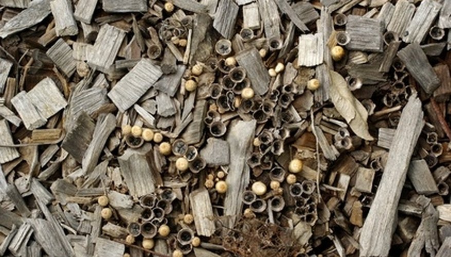 Compost is created after organic materials decay. Compost is created after organic materials decay.