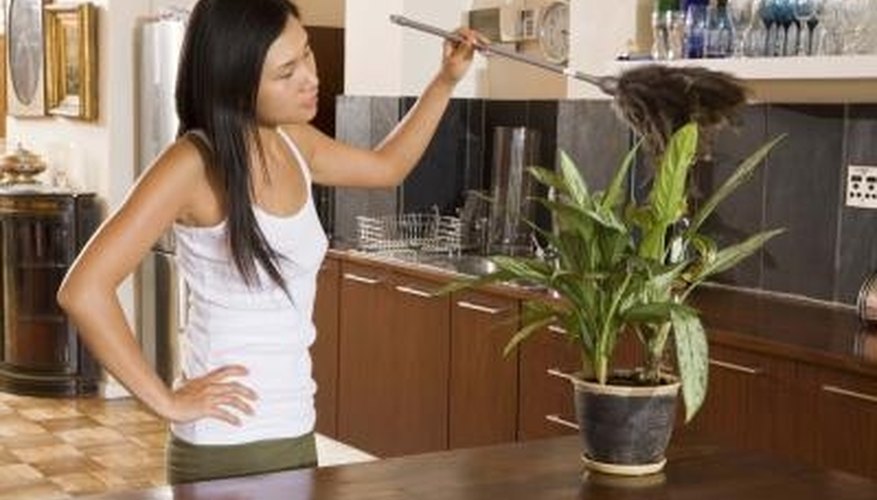 Routine cleaning will help reduce the amount of dust mites in your home. Routine cleaning will help reduce the amount of dust mites in your home.