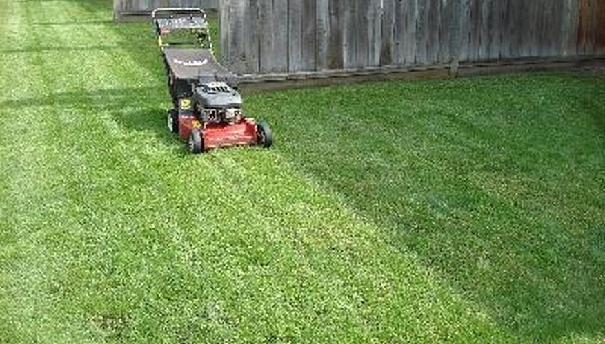 Does Vinegar Kill Weeds in Lawns? | Garden Guides