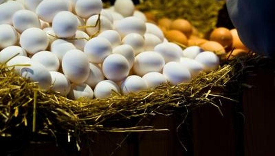Яички поднимаются вверх. Яйцо в природе. Резиновое яйцо эксперимент. Яйцо в кислоте. Яйца-медики