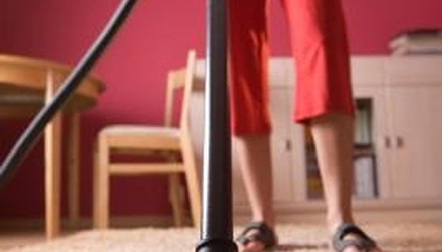 Regular vacuuming is key to flea control in the home. Regular vacuuming is key to flea control in the home.