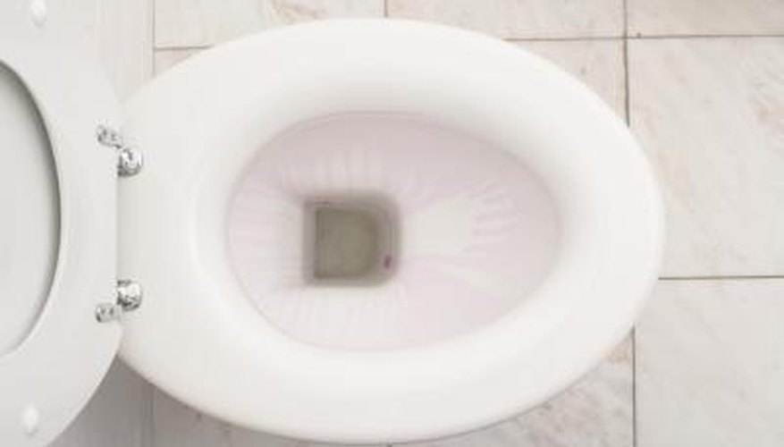 Know what happens when a toilet flush handle is depressed. Know what happens when a toilet flush handle is depressed.