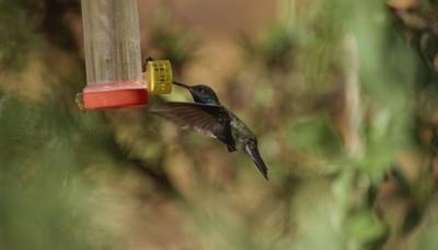 Hummingbird feeders are usually red. Hummingbird feeders are usually red.