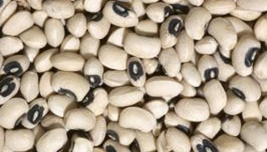 Planting Dates for Crowder Peas | Garden Guides