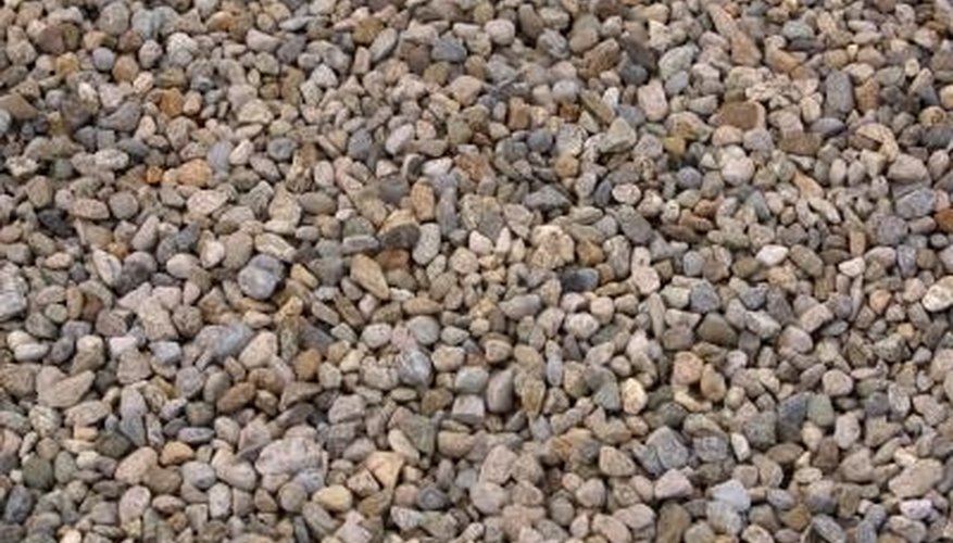 Specific plants can thrive when they're planted in pebbles. Specific plants can thrive when they're planted in pebbles.