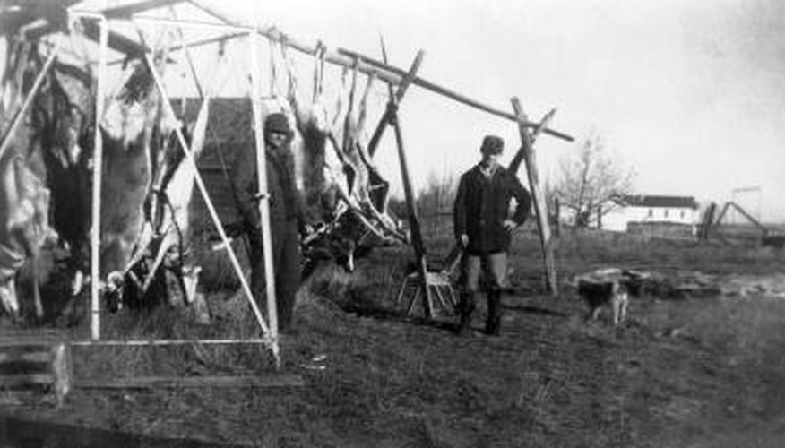 How to Build a Deer Hoist