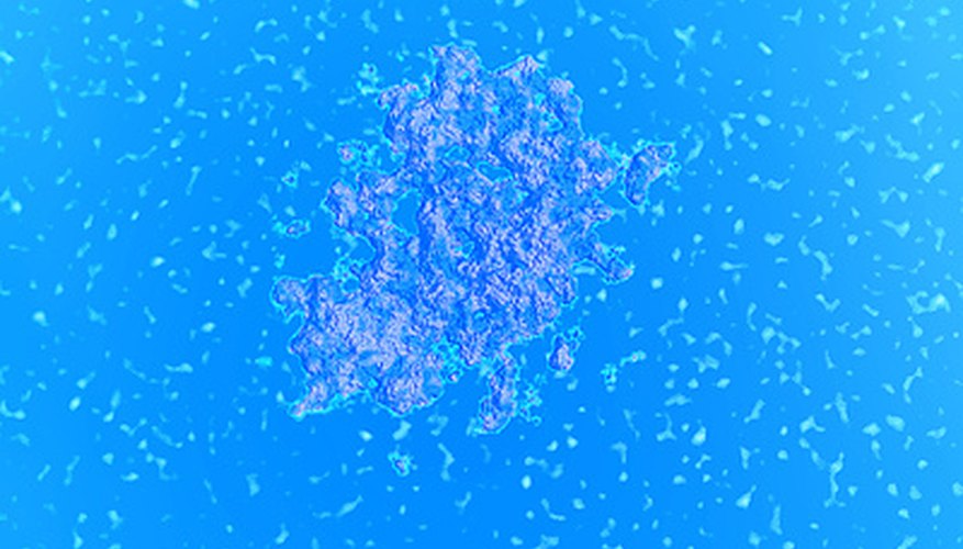 Photo Credit: bacteria image by chrisharvey from <a href='http://www.fotolia.com'>Fotolia.com</a> Endospores allow some species of bacteria to protect themselves from extreme environmental conditions.