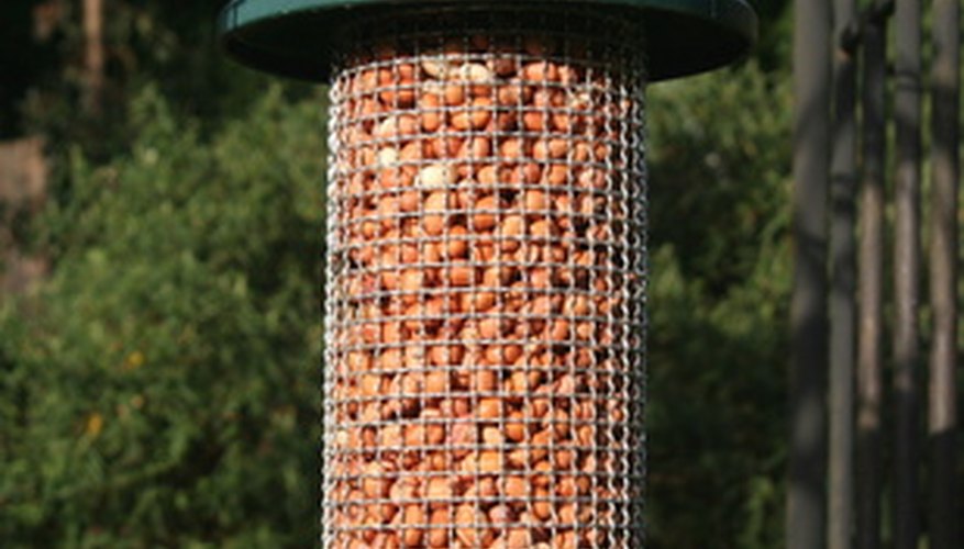 It's best to keep bird feeders out of the way of cats It's best to keep bird feeders out of the way of cats
