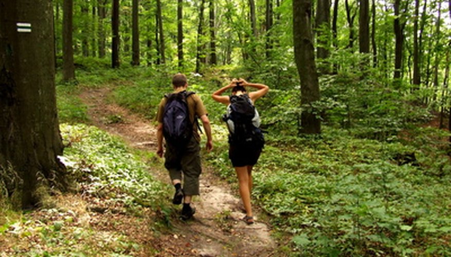 How to Build Wooden Steps Into a Trail