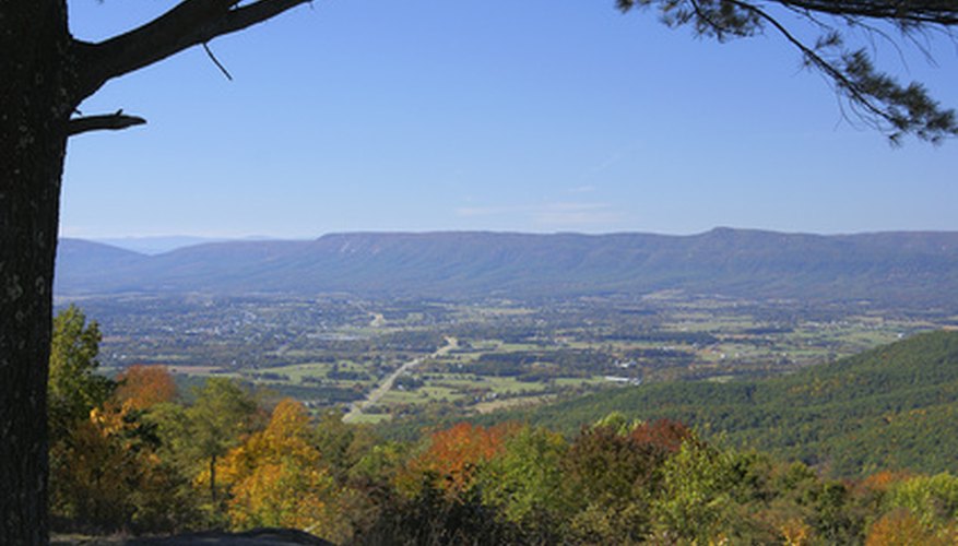Photo Credit: View within tree image by Digital Photique from <a href='http://www.fotolia.com'>Fotolia.com</a> The Blue Ridge Mountains are home to old mountains and varied soils.