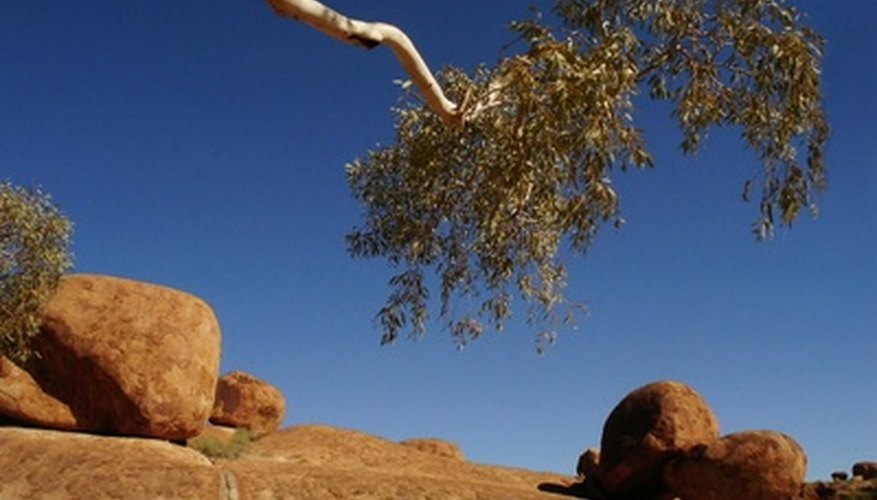 Photo Credit: stone desert image by Horticulture from <a href='http://www.fotolia.com'>Fotolia.com</a> Deserts cover about one-fifth of the planet, and they are growing.