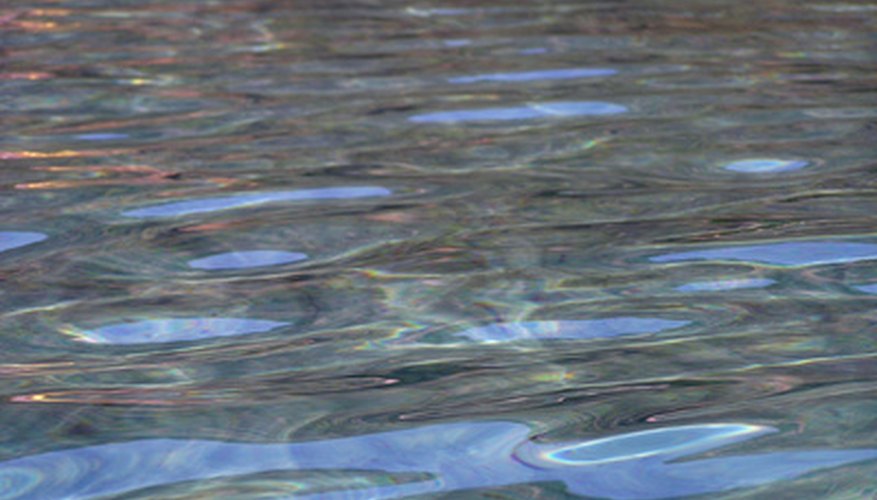 Without swamps and marshes, this river water would not be nearly as clear. Without swamps and marshes, this river water would not be nearly as clear.
