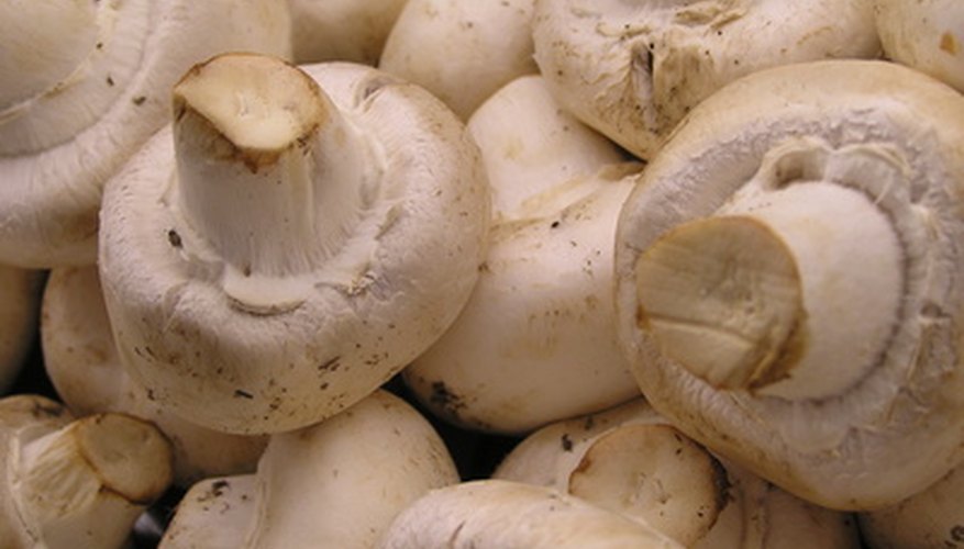Photo Credit: fresh mushrooms image by Janet Wall from <a href='http://www.fotolia.com'>Fotolia.com</a> Tree mushrooms often grow in clusters.