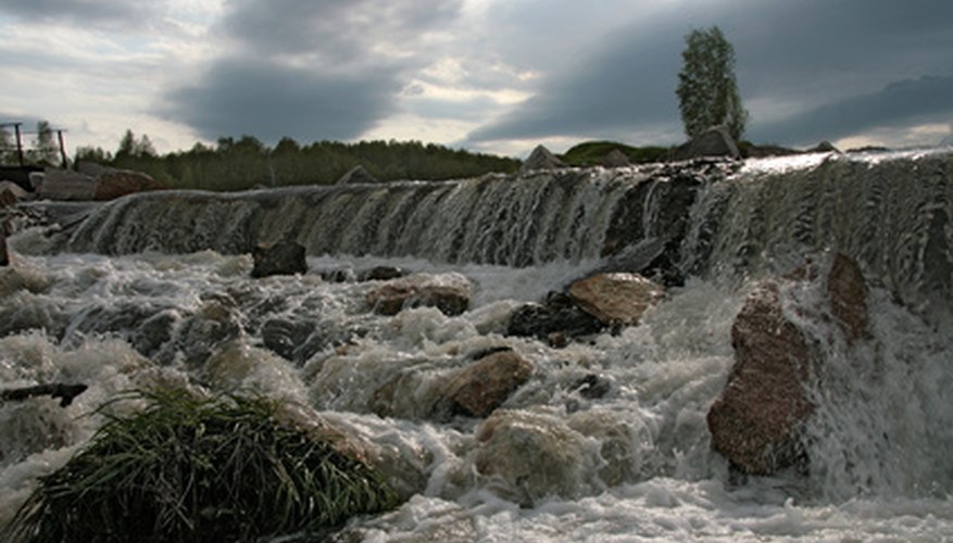 Swamps and marshes prevent flooding. Swamps and marshes prevent flooding.