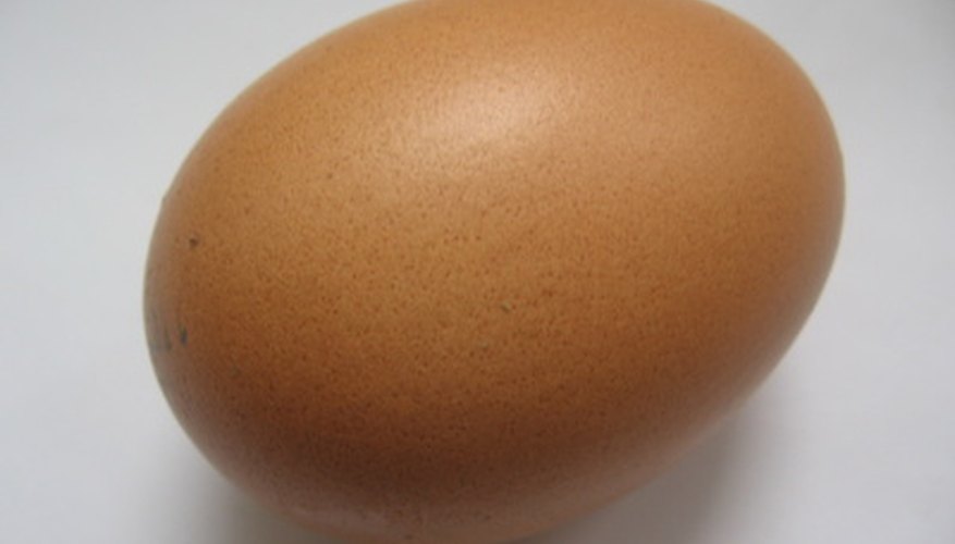 Photo Credit: Egg image by Andrei Leczfalvi from <a href='http://www.fotolia.com'>Fotolia.com</a> Eggs can be used in several science projects.