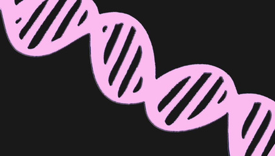 Photo Credit: DNA image by Allyson Ricketts from <a href='http://www.fotolia.com'>Fotolia.com</a> DNA repair occurs via both light and dark reaction mechanisms.