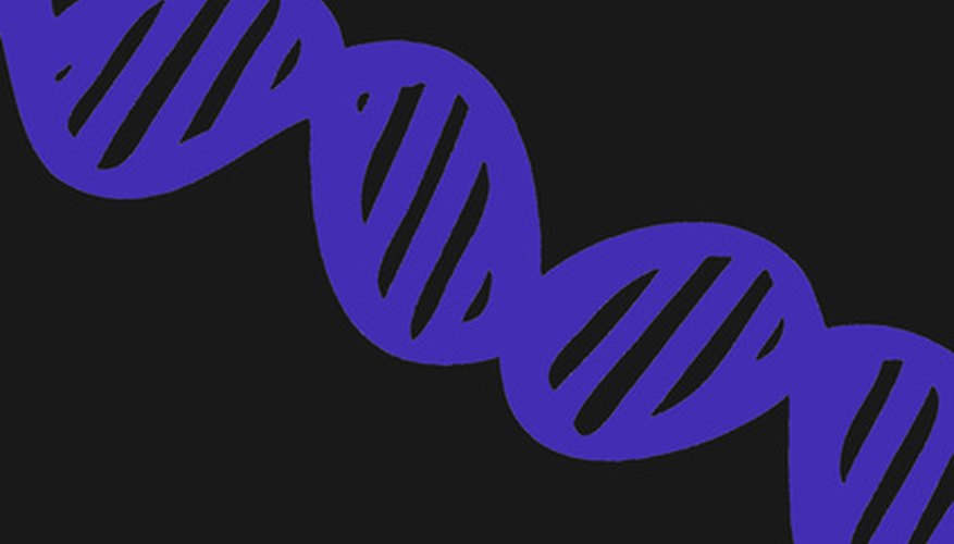 Instead of a stencil, you could paint the DNA strand by hand. Instead of a stencil, you could paint the DNA strand by hand.