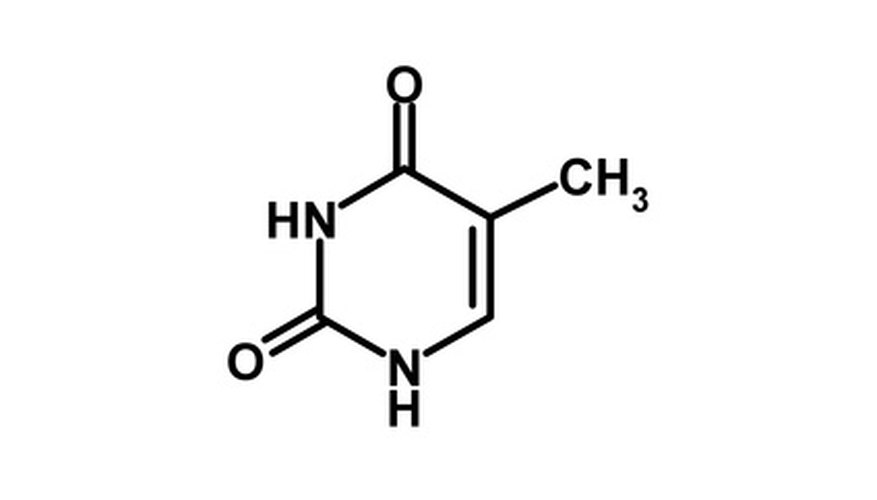 Photo Credit: thymine - DNA image by Cornelia Pithart from <a href='http://www.fotolia.com'>Fotolia.com</a> Chemistry symbols