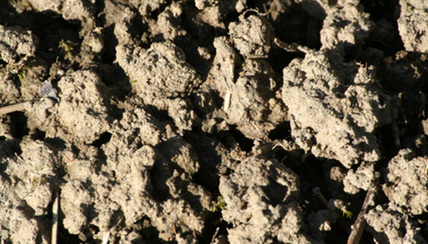 Photo Credit: terre image by Claudio Calcagno from <a href='http://www.fotolia.com'>Fotolia.com</a> Hetero-organotrophs are involved in the composting process.