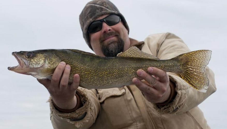 Lindy Rigging Walleyes 