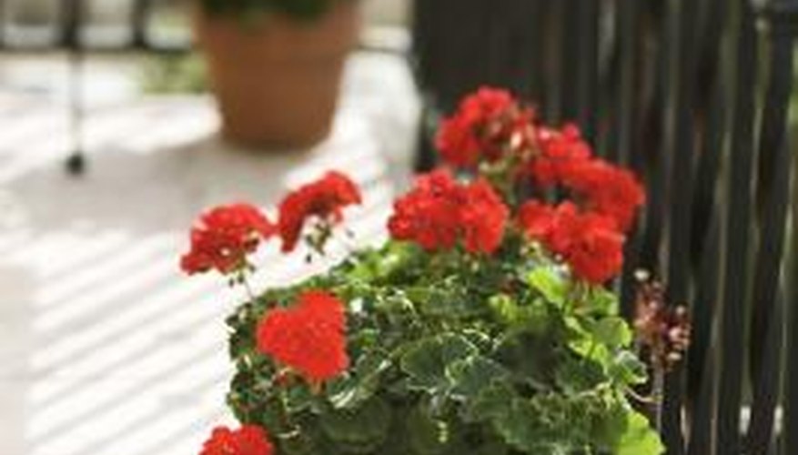 Store outdoor tools for easy accessibility. Store outdoor tools for easy accessibility.