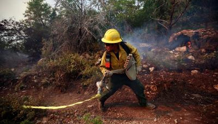 The Disadvantages of Prescribed Fires