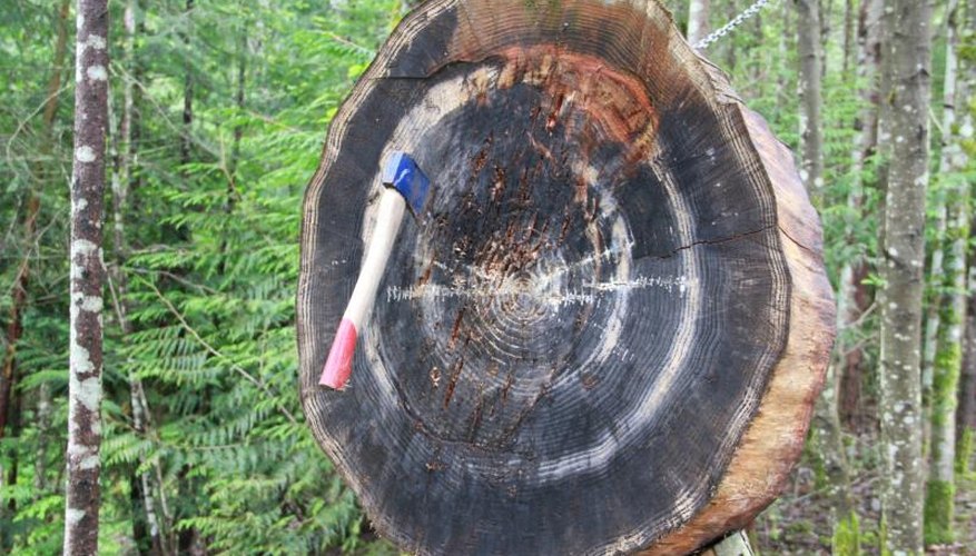 How to Make an Axe-Throwing Target