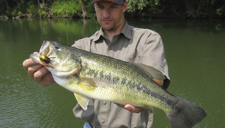 Fishing in Fremont, Ohio