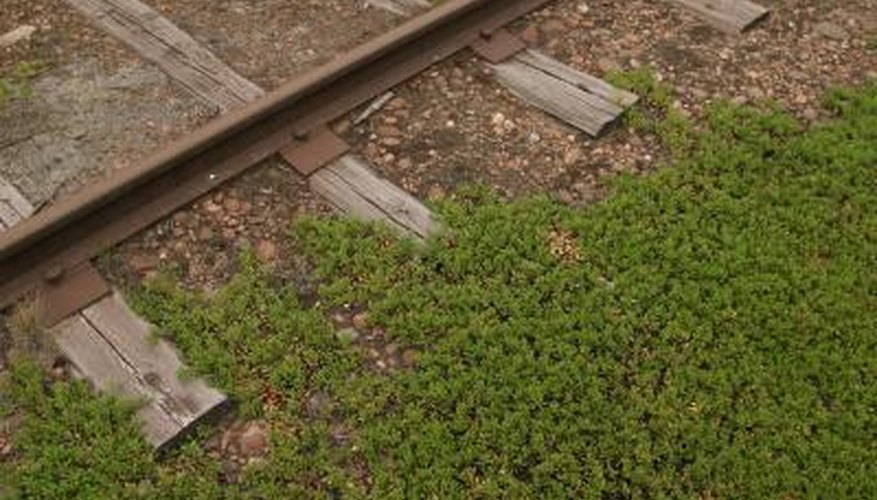 Railroad ties are large timbers used to support and stabilize tracks. Railroad ties are large timbers used to support and stabilize tracks.