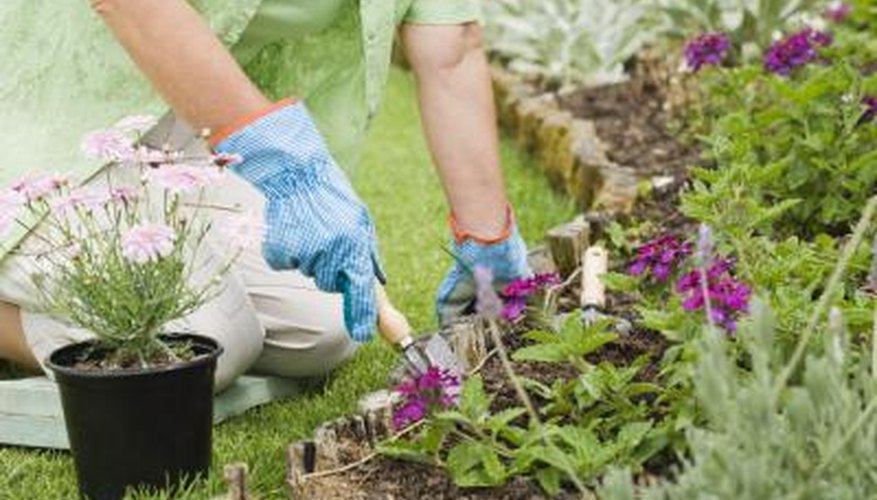 Flower beds take attention away from the flat features of a ranch style house. Flower beds take attention away from the flat features of a ranch style house.