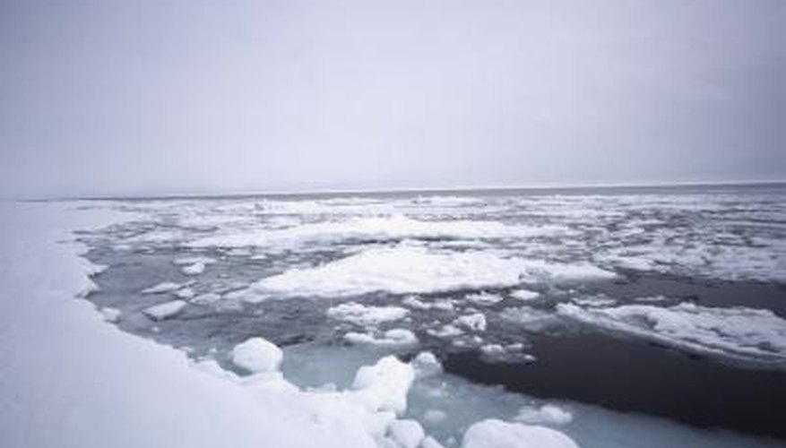 What to Wear for a Polar Plunge