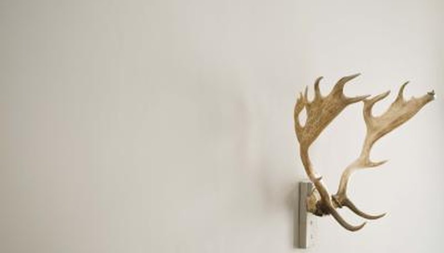 How to Use Potassium Permanganate to Stain Antlers