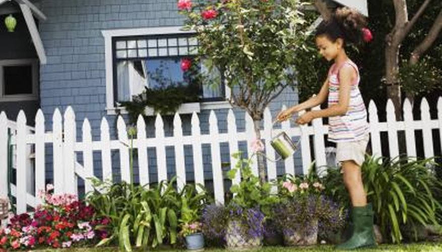 Thick gardens around your fence line may prevent your dog from digging. Thick gardens around your fence line may prevent your dog from digging.