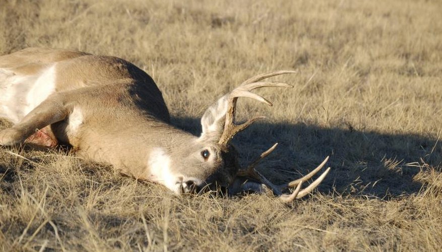 How to Build a Deer Skinning Rack