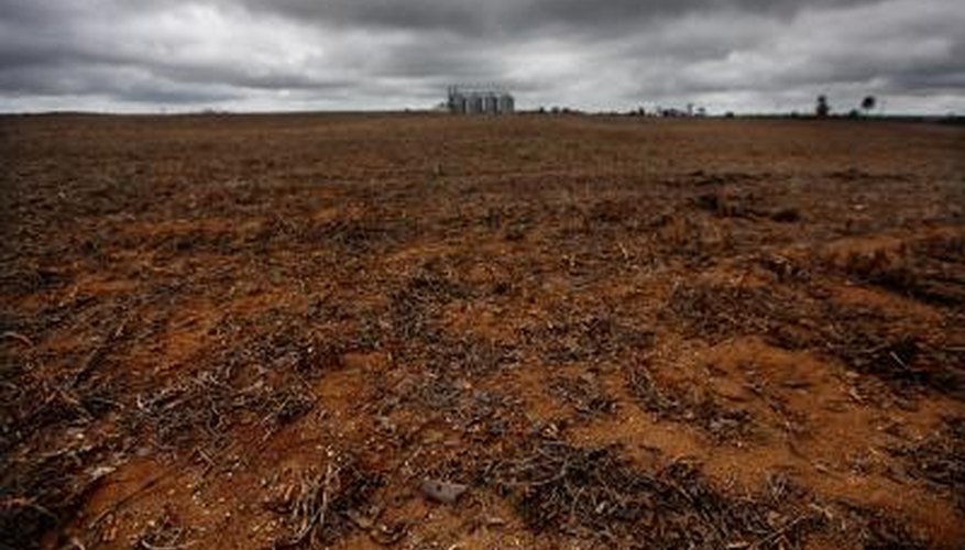 Photo Credit: Mario Tama/Getty Images News/Getty Images A soybean field replaces rainforest in Para State, Brazil.