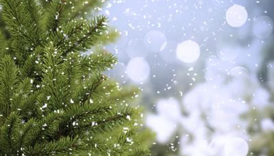 Photo Credit: vasaleks/iStock/Getty Images Christmas tree with snow