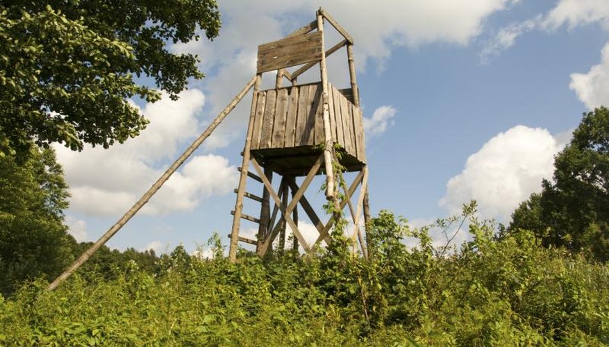 Tips on Painting a Deer Blind Camo