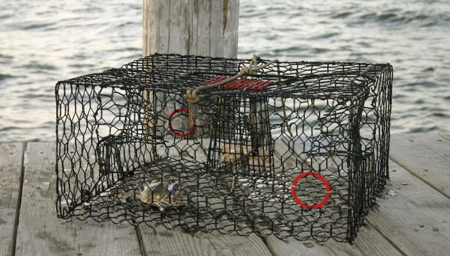 How to Make a Crab Trap
