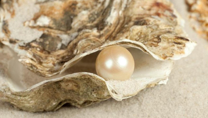 Facts on Pearl Diving