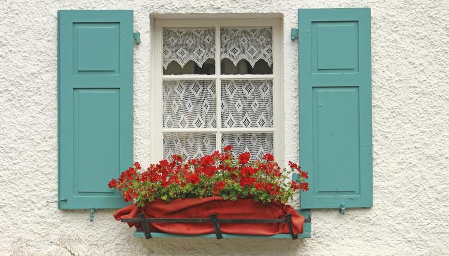 Red flowers in a window box between wood shutters painted turquoise.. Red flowers in a window box between wood shutters painted turquoise..