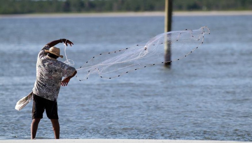 How to Catch Mullet Fish in Florida