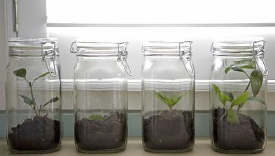 Glass jars make decorative and practical shelving supports. Glass jars make decorative and practical shelving supports.