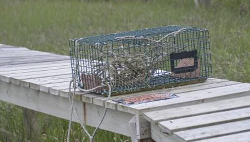 How to Rig a Crab Buoy
