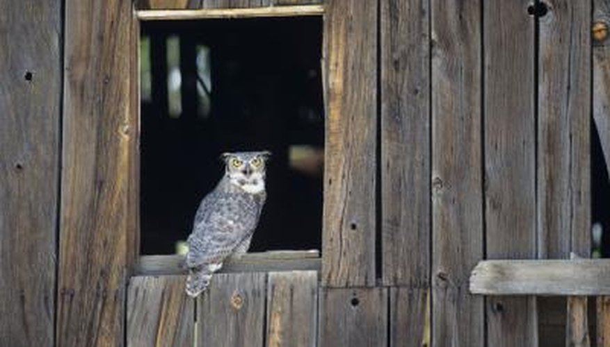 Many barn windows can be left open or without glass. Many barn windows can be left open or without glass.