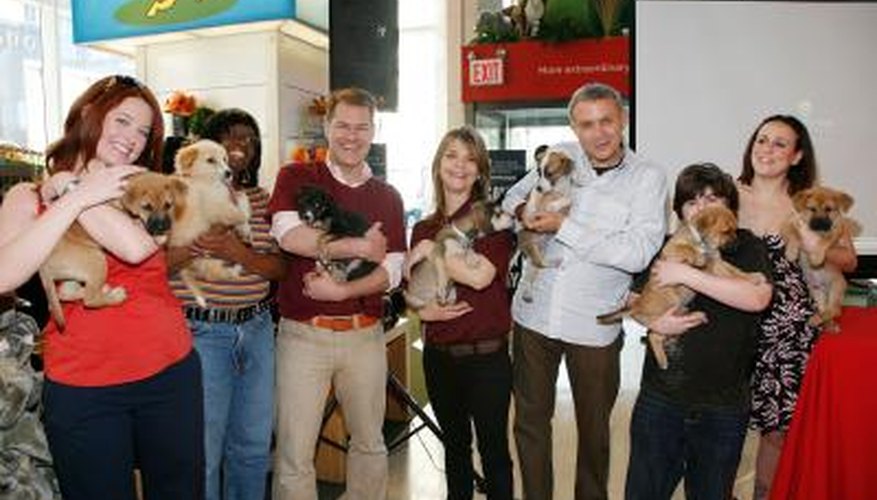 Animal activsts holding dogs at a fundraising event.