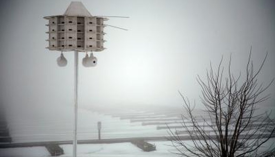 Purple martins prefer apartment-style houses close to each other. Purple martins prefer apartment-style houses close to each other.